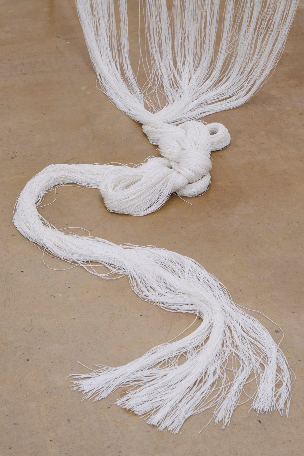 Traces — exhibition view